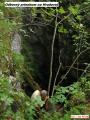 Zdroj: Speleoteam Tisovec