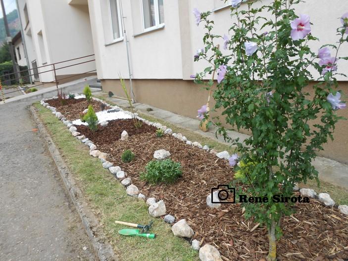 projekt Malí záhradkári- skalka 8&nbsp;2014 046