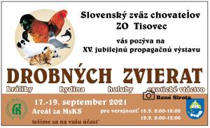 vystava